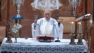 Desde la Basílica Virgen de la Caridad Misa de Todos Los Santos Solemnidad 10h 1 Nov 2024 [upl. by Trik]