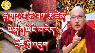 HH Karmapa’s speech about the reason to came India 🇮🇳 rumtekkarmaekhenpo karmapa rinpoche [upl. by Trev894]