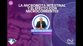 La microbiota intestinal y el efecto de las microcorrientes [upl. by Adaline]