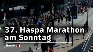 Über 30000 Läuferinnen und Läufer beim 37 Haspa Marathon erwartet [upl. by Atinev825]