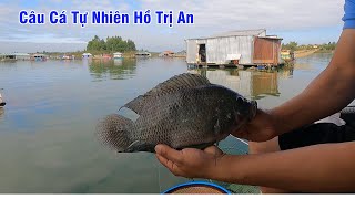 Câu Cá Tự Nhiên Hồ Trị An  Đụng Rô Phi Mè Dinh Nái [upl. by Royce131]