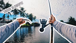 SNOOK FISHING RESIDENTIAL CANALS BLOW UPS [upl. by Bidle]