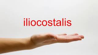 How to Pronounce iliocostalis  American English [upl. by Lamarre733]