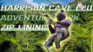 Ziplining At Harrison Cave Eco Adventure Park Barbados 4K [upl. by Siulegroj]