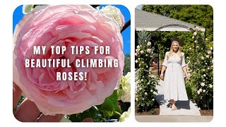 My Top Tips for Beautiful Climbing Roses  How I Care for My Eden Climbing Rose Arch [upl. by Suki]