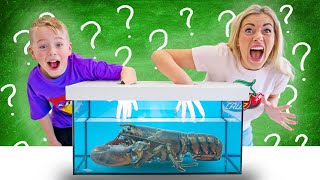 UNDERWATER CHALLENGE  WHATS IN THE BOX Challenge Funny Video [upl. by Esirrehc976]