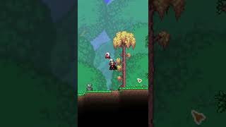 INSANE Health Regen in Terraria Using the HEART STATUE shorts terraria terrariatips [upl. by Layod764]