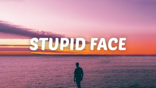 Abe Parker  Stupid Face Lyrics [upl. by Rudolfo]