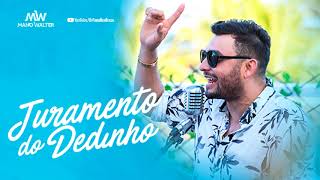 Mano Walter  Juramento do Dedinho Musica Nova 2018 [upl. by Ticknor]