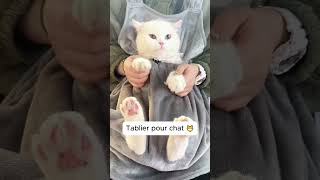 Tablier pour chat [upl. by Eydie]