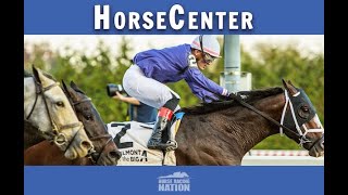 Cigar Mile and Remsen Stakes top picks on HorseCenter [upl. by Macmullin]