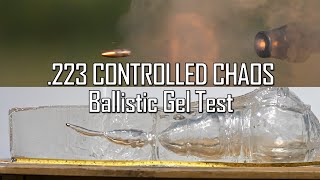 223 CONTROLLED CHAOS Ballistic Gel Test  Ballistic HighSpeed [upl. by Eustache]