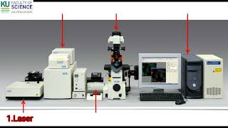 หลักการและขั้นตอนการใช้งานกล้อง Confocal Laser Scanning Microscope CLSM [upl. by Adnical]