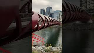 peace bridge calgary Canada [upl. by Ashly]