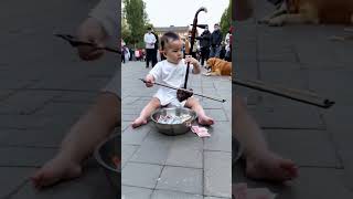 In order to reduce the burden on adults the baby and the dog performed erhu for everyone in the s [upl. by Sonitnatsnoc]