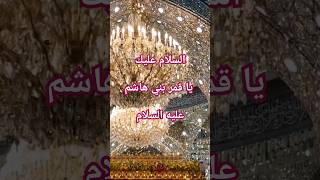 Ziyarat hazrat abbas as maulagazi karbala shorts shortvideo ziaraat dua i [upl. by Hannaj840]