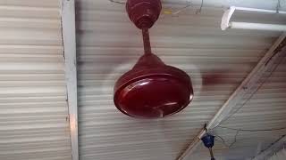 Usha Aerostyle ceiling fan after homemade rewinding [upl. by Eelatsyrc942]