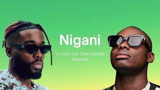 Ya Levis ft Sidiki Diabaté Nigani Slowed [upl. by Cantlon]