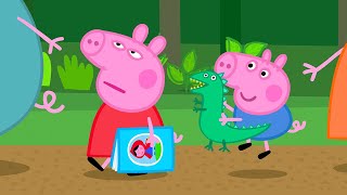 Cera una volta  Peppa Pig Italiano Episodi completi [upl. by Yeldar]