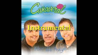 Tiene Espinas el Rosal  Grupo Cañaveral Instrumental [upl. by Cown]