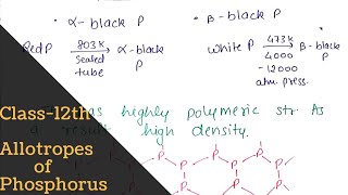 Allotropes of phosphorus  full concept   p block Elements  Class12th  Bharat Panchal [upl. by Eimot]