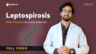 Leptospirosis Pathophysiology and Treatment  Microbiology Video Lecture [upl. by Ad]