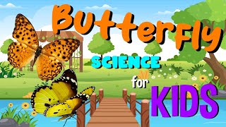 Butterfly  Science for Kids [upl. by Ainod]