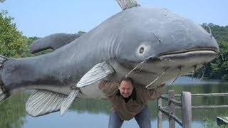 Debunking Catfishing Myths Plus awesome tip and techniques for catching catfish [upl. by Ellevel]