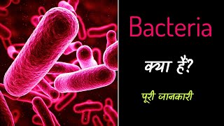 What is Bacteria with Full Information – Hindi – Quick Support [upl. by Meesak]