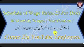 Schedule of Wage Rates23 For Daily amp Monthly Wages  Notification Download  Employees Corner Zia [upl. by Odnalro]