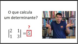 MATRIZES  O que calcula um determinante 22 [upl. by Nirrok833]