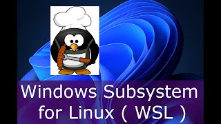 WSL  Windows Subsystem for Linux [upl. by Hanselka544]