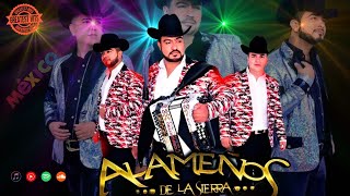 LOS ALAMEÑOS DE LA SIERRA🔥Huapangos Pa Bailar 2024🔥Popurri De Huapangos🔥Cumbias para Bailar 2024 [upl. by Kumagai157]