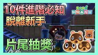 《動物森友會》脫離新手10件進階必備知識  抽貍克抱枕等獎品  片尾抽獎  新手  教學  攻略 【小貓奈奈】 [upl. by Ynittirb]