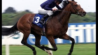 Galileo  Irish Derby 2001 [upl. by Hermosa172]