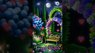 GOOD NIGHT Video [upl. by Butterworth]