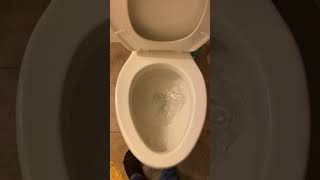 2000’s Sterling Wyndham Toilet Flushing [upl. by Koball964]