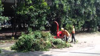 Toro BC 25 brush chipper STRIKE AGAIN [upl. by Rockafellow]