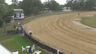 Bundaberg 20240727 Race 1 [upl. by Remat]