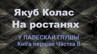 2 Аўдыёкніга Якуб Колас У палескай глушы Ч 2 9 клас 2016 год [upl. by Silvain]