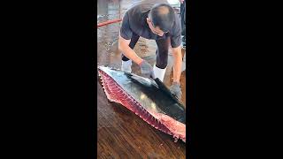 Amazing Bluefin Tuna Cutting [upl. by Otilegna]