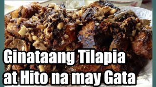 ADOBONG TILAPIA AT HITO WITH GATA RECIPE  Tilapiarecipe hitorecipe ginataan adobowithgata [upl. by Willin]