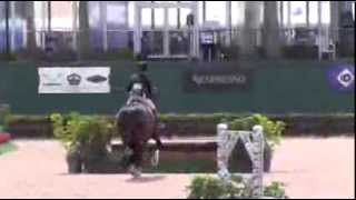 Video of ZERNIKE ridden by DEVON AUERBACH from ShowNet [upl. by Zwiebel]