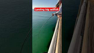 Landing big sailfish 30 feet high ￼sailfish fishing hunting bigfish navarrebeach pierfishing [upl. by Glasgo]