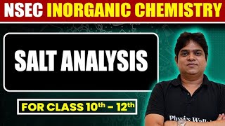 Salt Analysis in One Shot 🔥  Class 10th to 12th  NSEC Batch Free [upl. by Pablo]