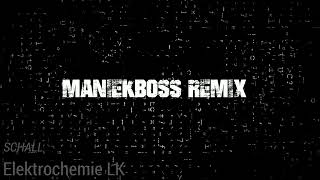 Elektrochemie LK  Schall ManiekBoss REMIX [upl. by Diehl927]