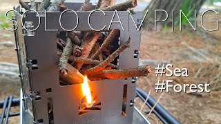 바닷가 해변 작은 숲속에서 솔로캠핑  Bushbox LF Titanium amp Firebox Stove Freestyle 장단점 [upl. by Atsirc862]