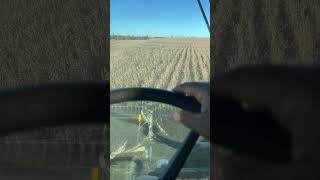 Double crop beans explained soybeans doublecrop farming harvest2024 caseih [upl. by Rap]