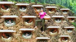 TIMELAPSE  30 Days Build Many Nest For Hens To Lay Egg  Harvest Chicken Egg Ducks Go To Sell [upl. by Ariaj]