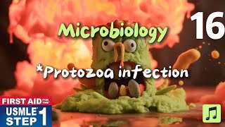 USMLE  First Aid Step 1 Microbiology Protozoa infection usmlestep1videos usmlestep1 [upl. by Aisanahta888]